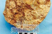 海南省发现旧石器时代遗址，距今已经２万年（转载）