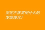 坚定不移贯彻什么的发展理念？贯彻新发展理念的想法和建议？