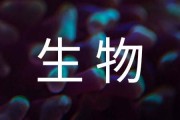 海洋生物作文400字