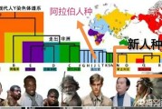 O1，O2，O3，在中国各是代表哪个古代民族？汉族中如何分布？