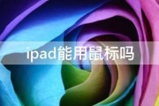 ipad能用鼠标吗