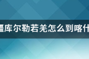 从新疆库尔勒若羌怎么到喀什疏勒县?