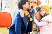 神犬小七电视剧原声带发行 胡夏倾情演绎剧中主题曲