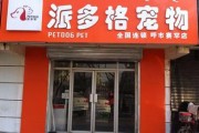 银川开宠物店需要多少钱