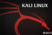 黑客一般用什么操作系统，KaliLinux吗？