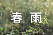 春雨的作文