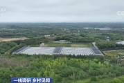 “植物工厂”改变传统耕作方式 新型农业设施助农致富