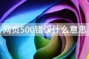 网页500错误什么意思