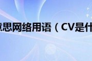 cv是什么意思网络用语（CV是什么意思）