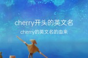 cherry开头的英文名(cherry的英文名的由来) 67个