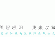 要闻 | 总投资35亿元！预计年税收超2亿元，枞阳这个项目今天开工！