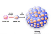 cancer、tumor和carcinoma的区别是什么？