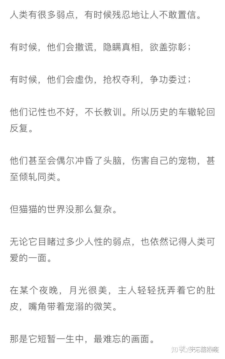 继承们朴信惠清新剧照_继臣者们电视剧_继承者们结局