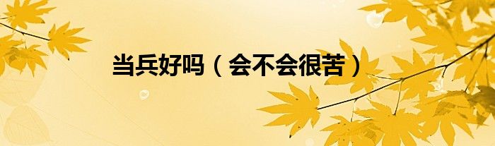 当兵海军好还是武警好_当兵好吗_明年想当兵今年报大专好还是三本好