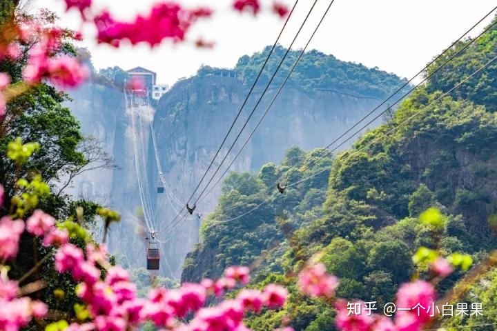 神雕侠侣名胜_浙江名胜_会当凌绝顶 一览众山小的名胜