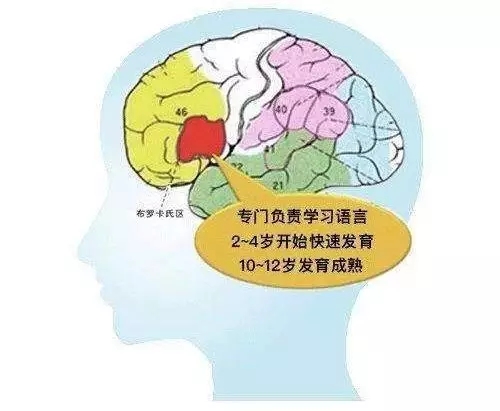 如何开发大脑的潜能_怎么激发大脑潜能_开发孩子的大脑潜能