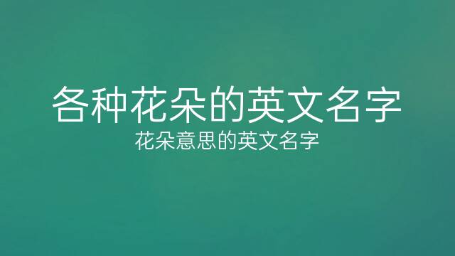 各种花朵的英文名字(花朵意思的英文名字) 50个