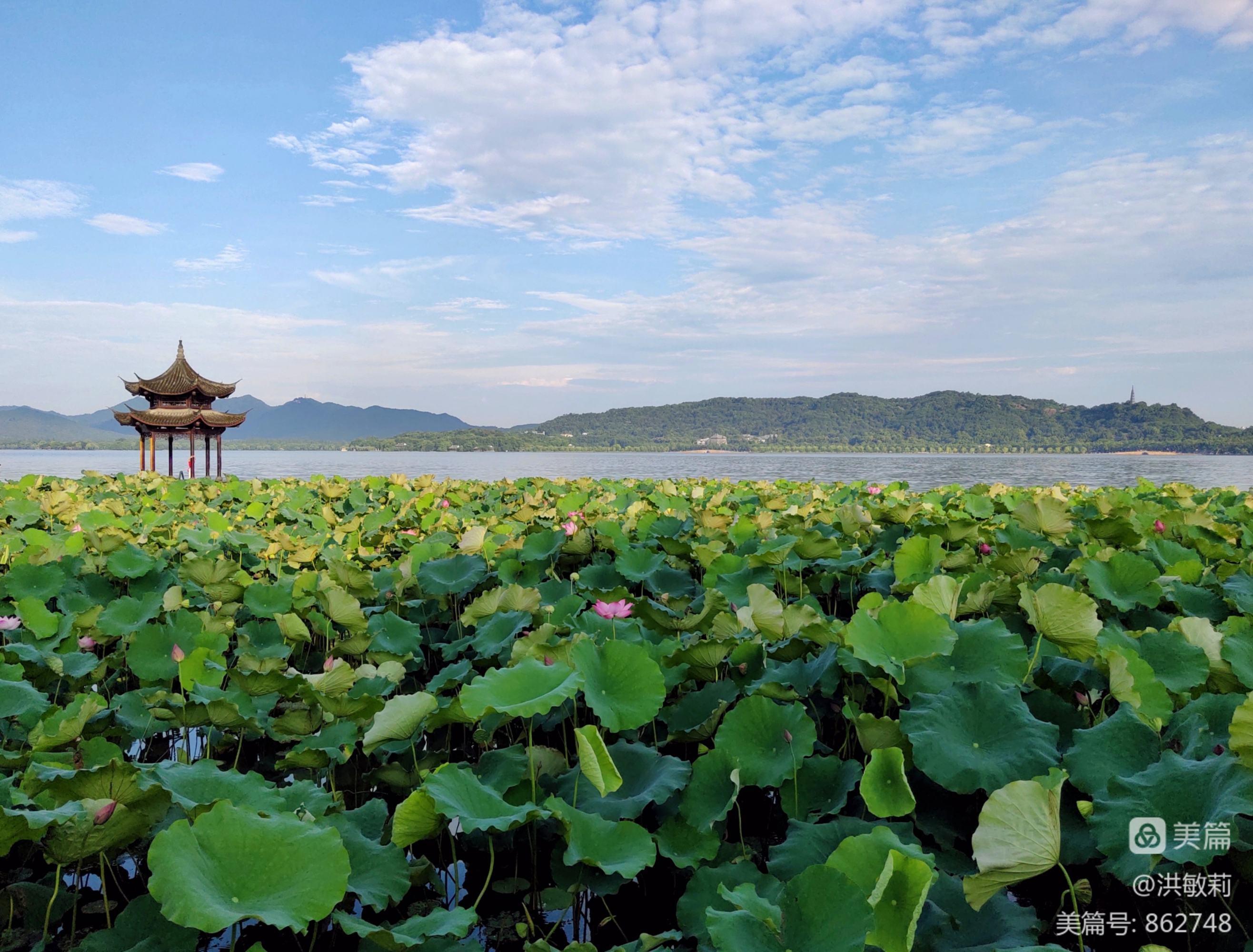 西湖水西湖泪_西湖的水我的泪_歌词里有 西湖泪