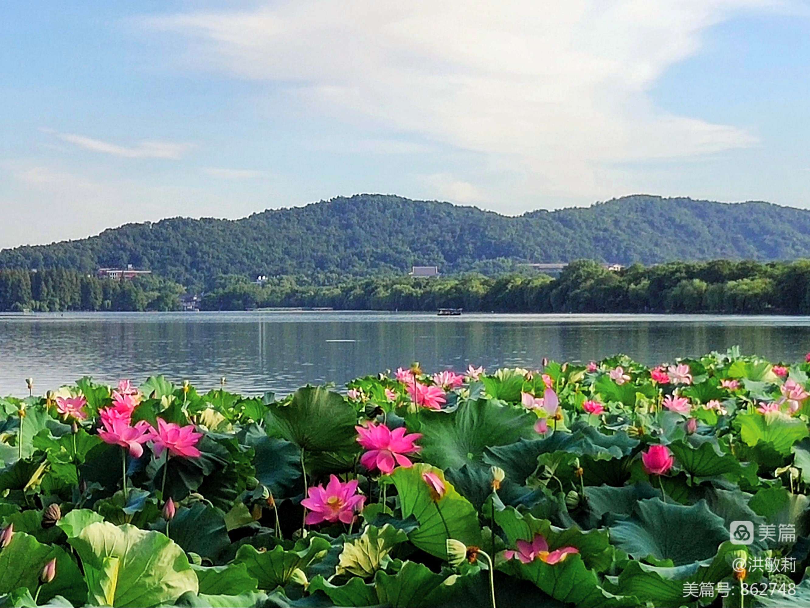 歌词里有 西湖泪_西湖的水我的泪_西湖水西湖泪