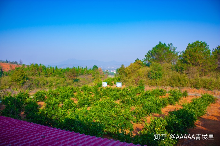 小孩头热脚凉是咋回事_嘴巴热手热脚凉_橙子是热性还是凉性