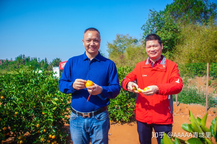 小孩头热脚凉是咋回事_嘴巴热手热脚凉_橙子是热性还是凉性