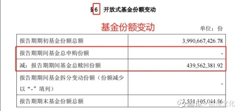 网下申购与网上申购_月费率和日费率_申购费率