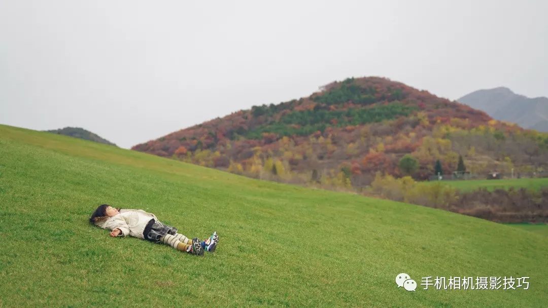 牡蛎杞草片是速效药吗_一片全是草的地_极草5x10片一盒价格