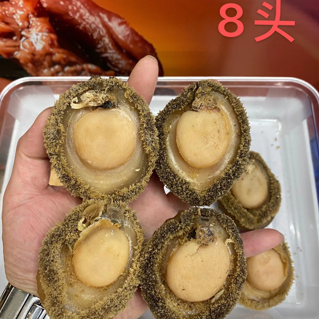 美食 | 原来，鲍鱼竟然有这么多品种……