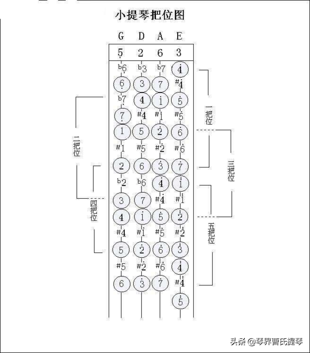 小提琴的把位划分 | 琴界网·曹氏提琴