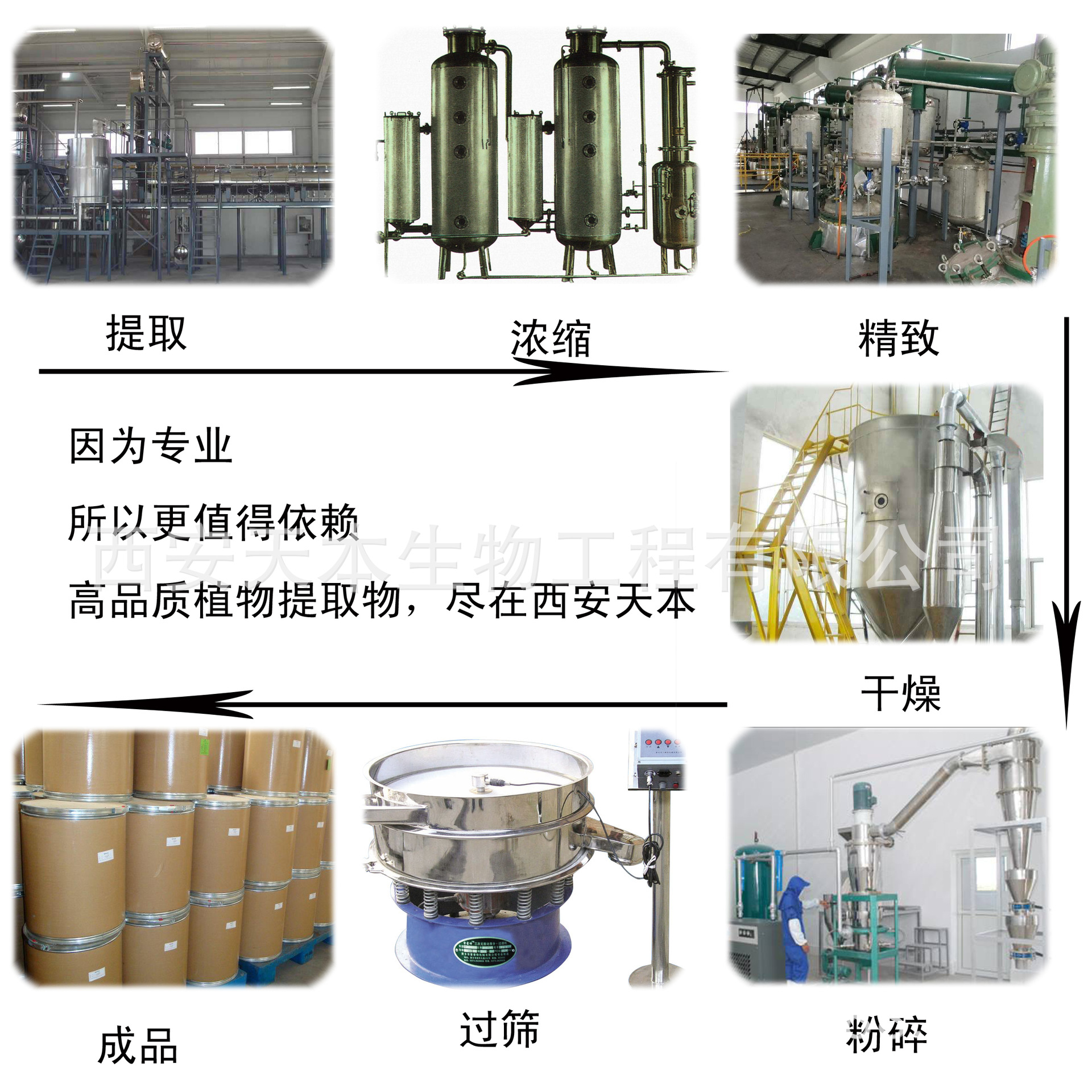 摩合罗传 水澜_水合硅石_巳申 刑 论合 水