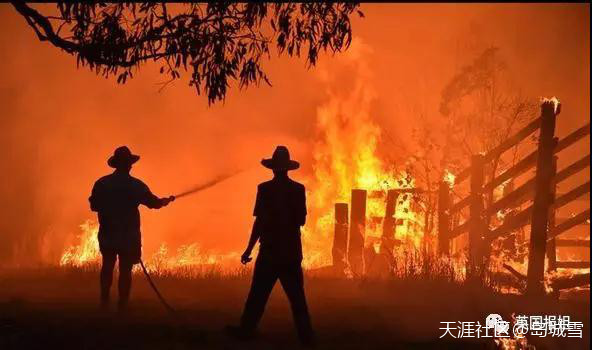 澳洲350只考拉被活活烧死，意大利威尼斯被淹，世界怎么了？(转载)