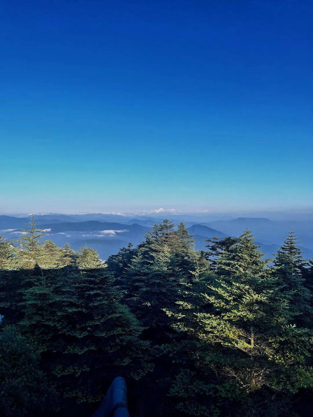 这个时候来峨眉山，简直就是赚大了