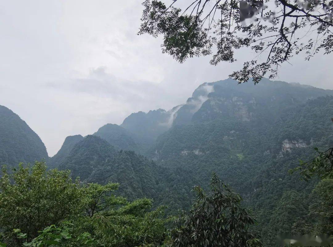 这个时候来峨眉山，简直就是赚大了