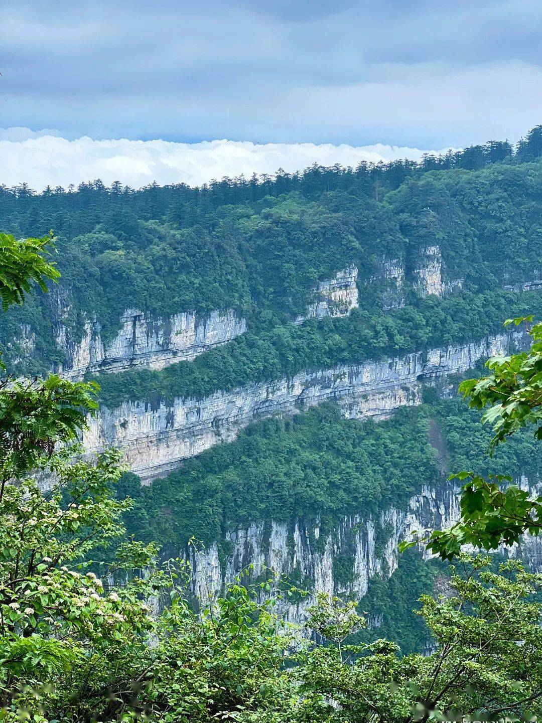 这个时候来峨眉山，简直就是赚大了