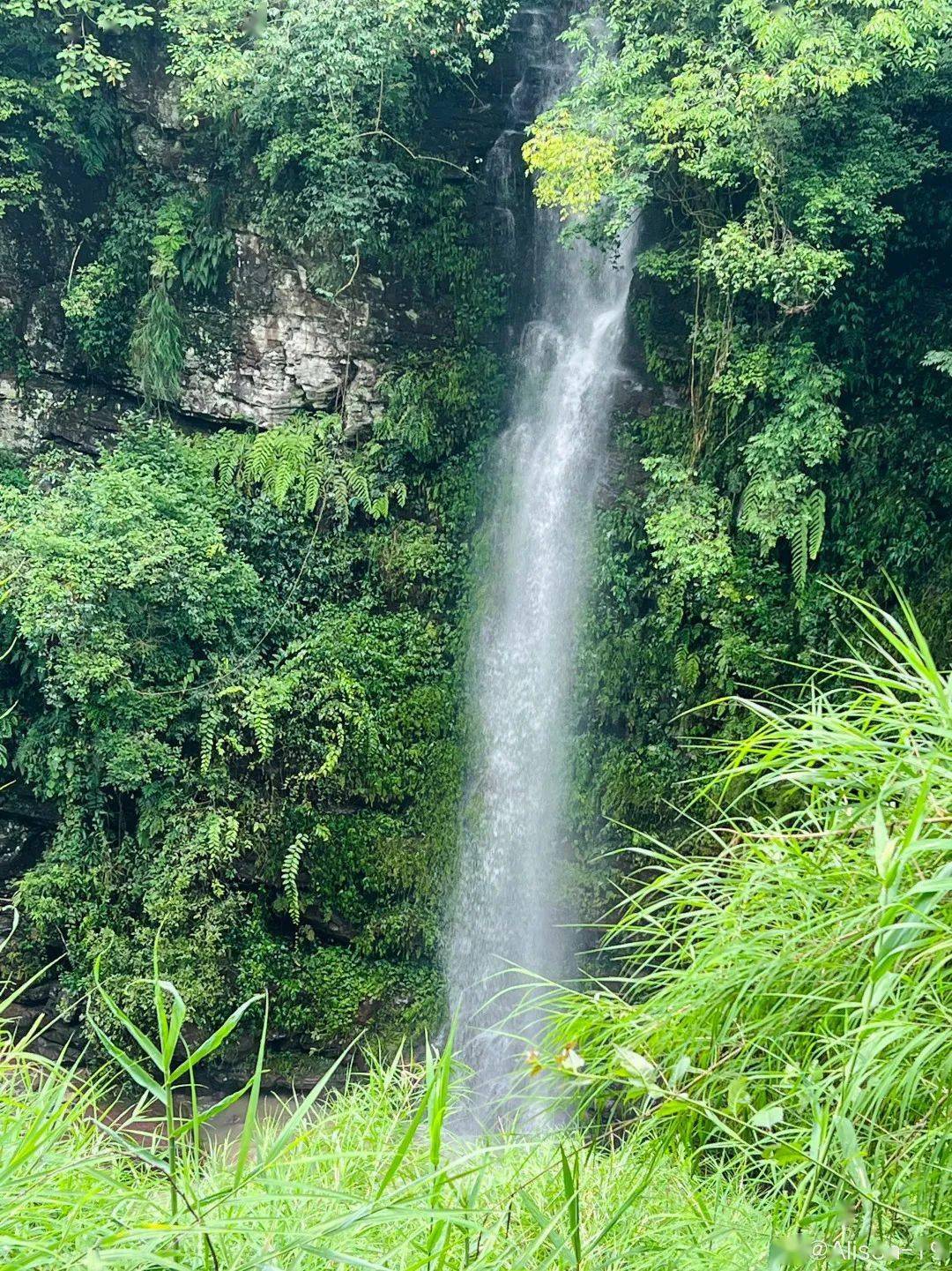 这个时候来峨眉山，简直就是赚大了