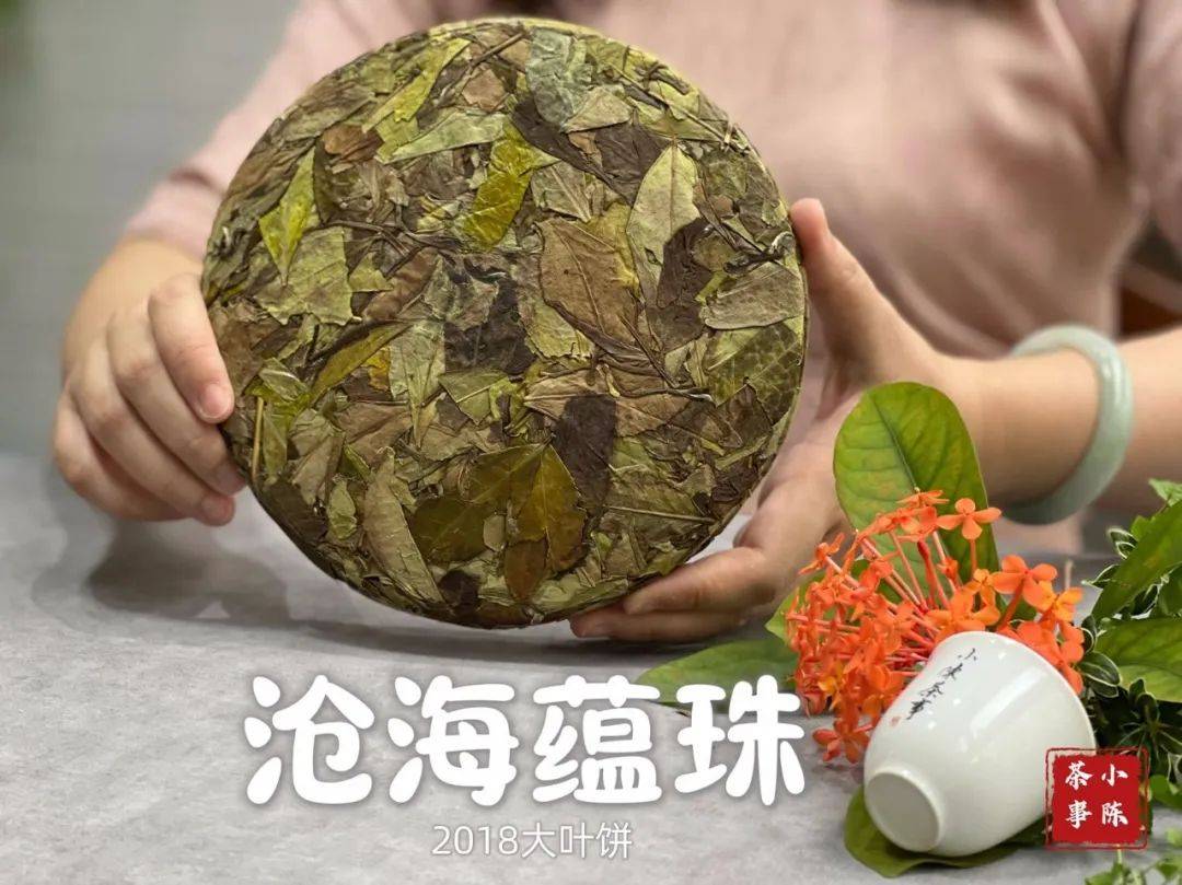 喝茶时，什么是锁喉感？锁喉是什么感觉？为什么会锁喉？一次说清