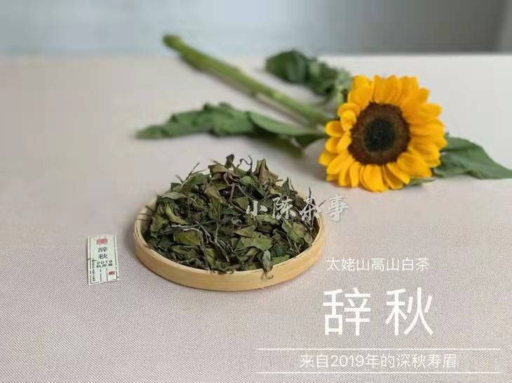 喝茶时，什么是锁喉感？锁喉是什么感觉？为什么会锁喉？一次说清