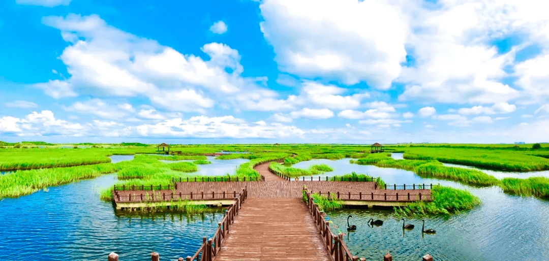 微游河北 | 我是河北的·河北沧州的