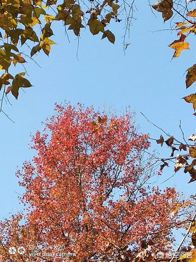 越长大想的也就越多，感觉生活处处和自己作对，怎么样才可以活得自在些？