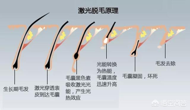 各路男星配上“发际线小吴”的同款眉毛，还能依旧帅气吗？