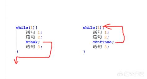 C语言除了while，还有什么循环语句？break和continue的区别是什么？