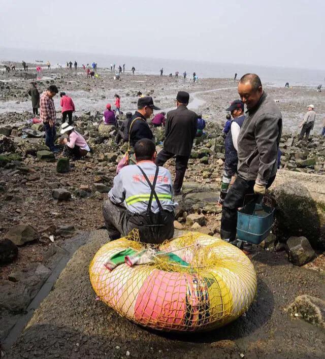 青岛海边有哪些赶海的好去处？