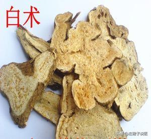 白术虽好，为什么有的人不能吃？