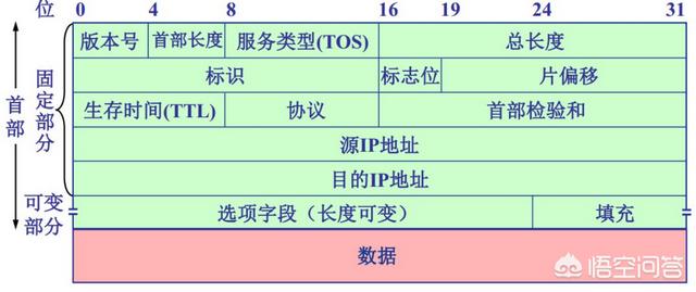 什么是网络，了解什么是IP、TCP协议、UDP协议、http协议？