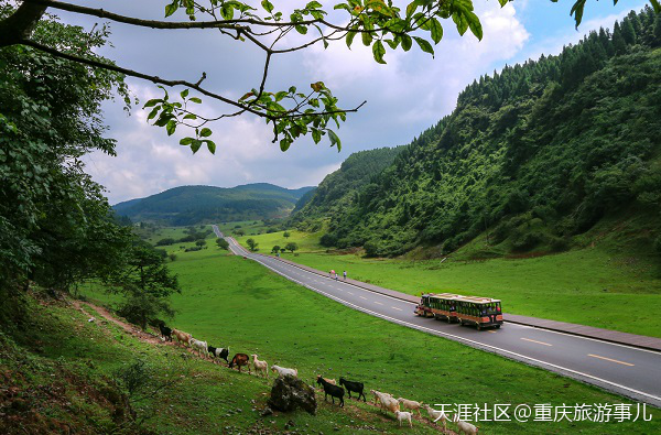 《一路成年》竟三期取景重庆武隆，这个宝藏旅行目的地太火了！