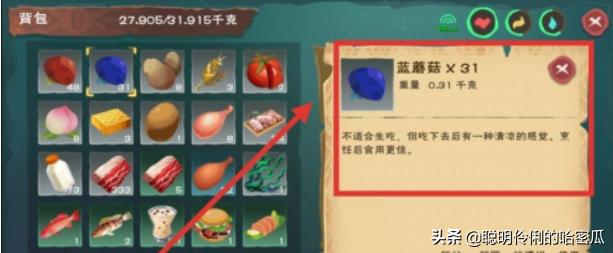 创造与魔法蓝蜥蜴饲料怎么做？吃什么？