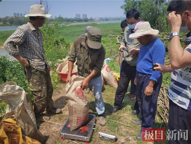 禁渔期、禁渔区！非法捕捞螺蛳1400余斤，4名男子被依法刑拘