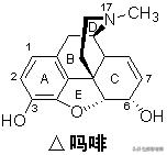 100个常用药物结构特征与作用总结！2020执业药师考生背诵版