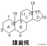 100个常用药物结构特征与作用总结！2020执业药师考生背诵版