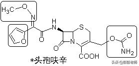 100个常用药物结构特征与作用总结！2020执业药师考生背诵版